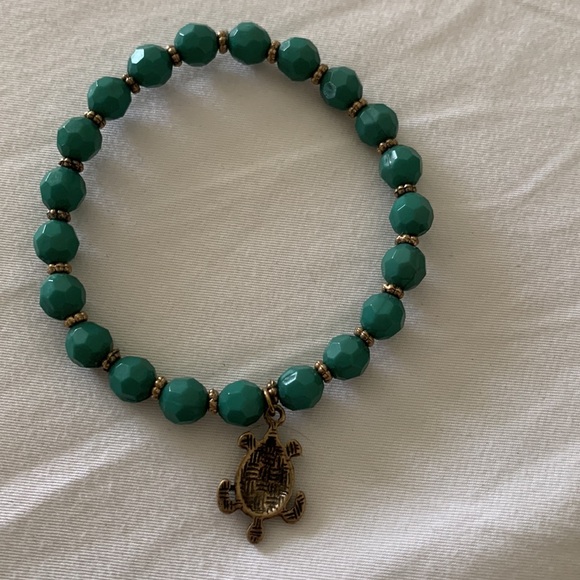 Turtle Lovers Unite! - Picture 2 of 4